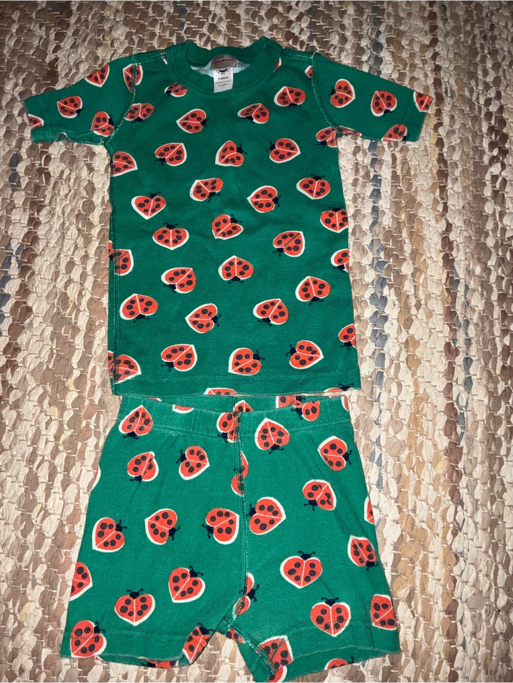 Hanna Andersson Green Ladybug Print Organic Cotton Pajama Set with Red Accents
